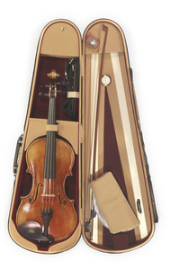 Anton Riegel Violin Outfit 4/4-1/16