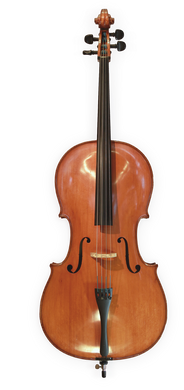Anton Riegel cello 1/8 - 4/4