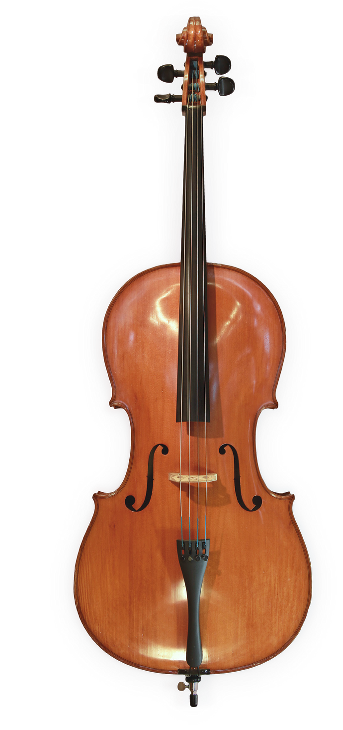 Anton Riegel cello 1/8 - 4/4