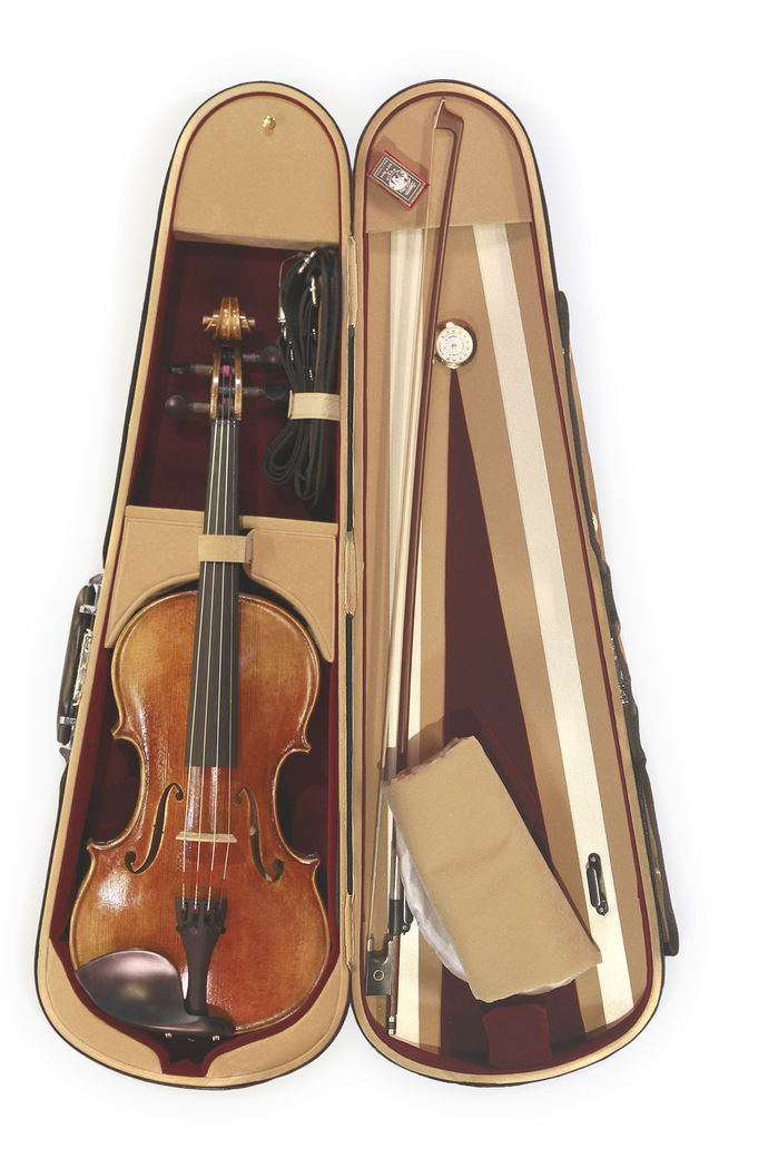 Anton Riegel Violin 4/4-1/16