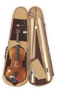 Anton Riegel Superior Outfit Violin