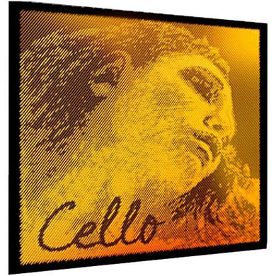 Evah Pirazzi Gold Cello Set