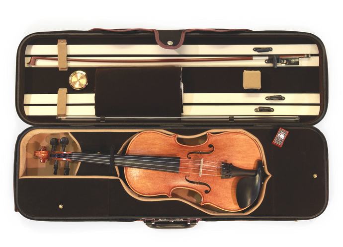 Lemoine MAITRE LUTHIER 1 Outfit Violin