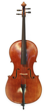 Anton Riegel Superior Cello Outfit