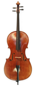 Anton Riegel Superior Cello Outfit