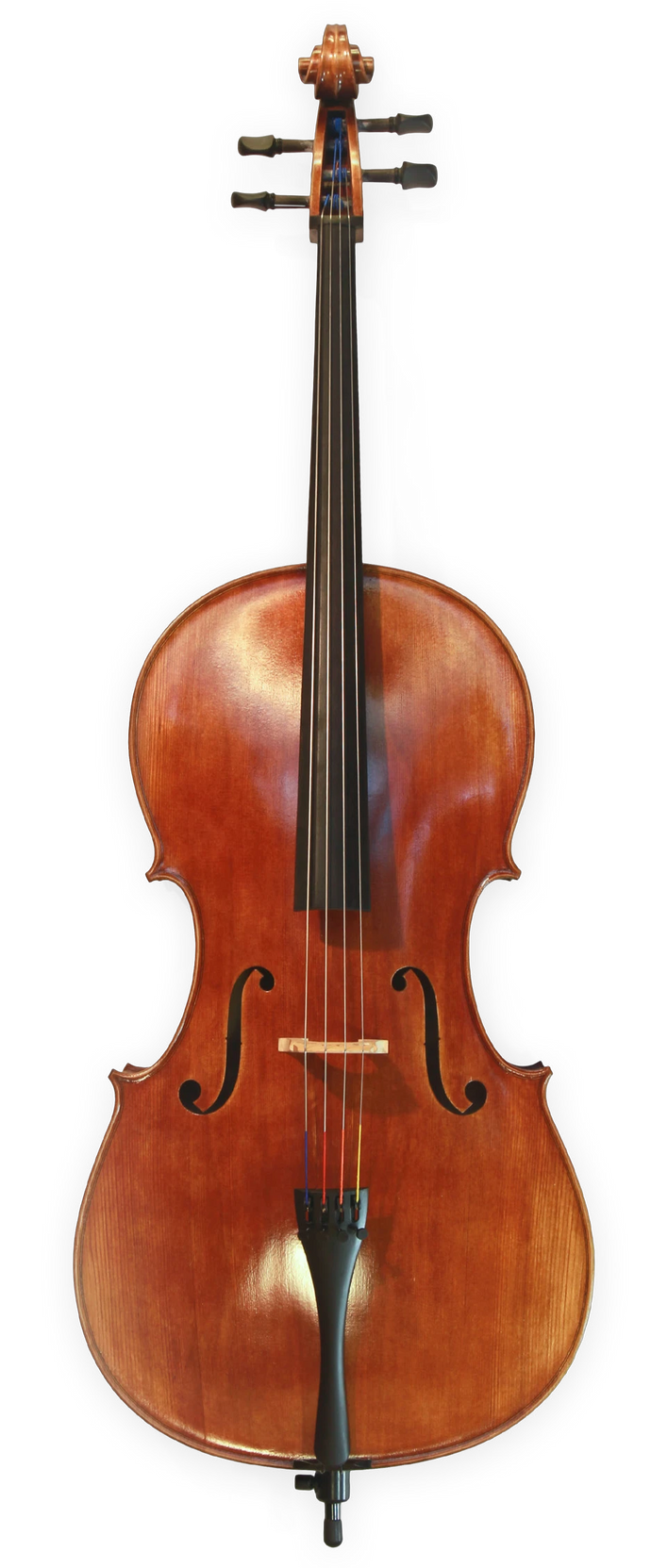 Anton Riegel Superior Cello Outfit