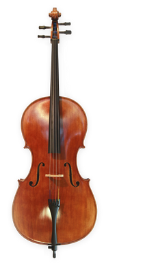 Anton Riegel Superior Cello