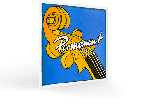 Permanent Cello Set