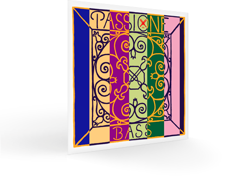 Passione Bass Solo Set