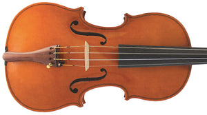 Wessex Violin Model V