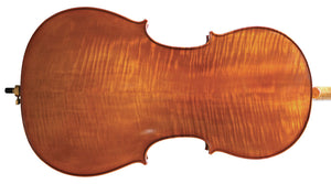 Westbury Cello Outfit (4/4 - 1/2)  Incl. 7/8